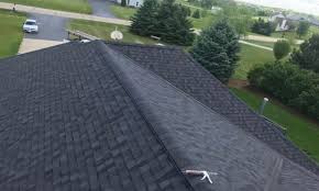 Best Roof Moss and Algae Removal  in USA